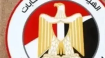 ماراثون التصويت.. يبدأ غدًا تصويت المصريين بالخارج في انتخابات برلمان 2025